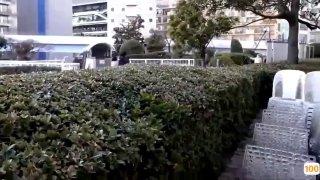 在线播放日本三级片十手舞mp4 第1集 - 高清资源不卡